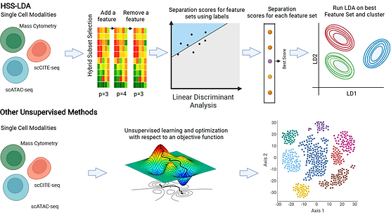 A Supervised Take on Dimensionality Reduction via Hybrid Subset Selection