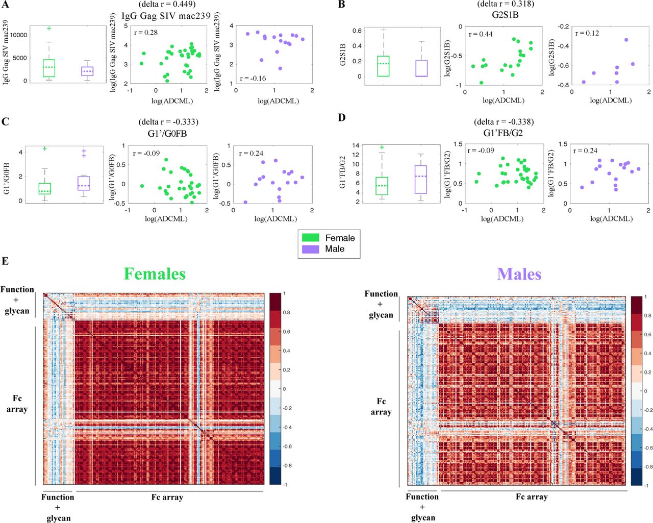 Analysis of Complement mediated lysis of SIV and SIV-infected cells reveals sex differences in vaccine-induced immune responses and protection from infection in Rhesus macaques