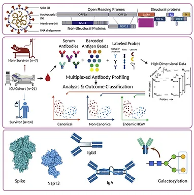 Antibodies targeting conserved non-canonical antigens and endemic coronaviruses associate with favorable outcomes in severe COVID-19