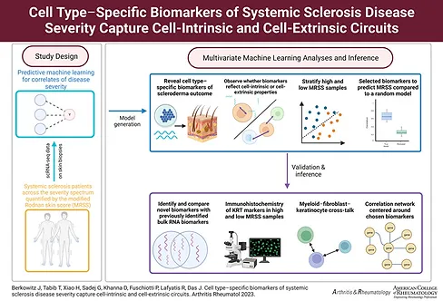 Cell‐type‐specific biomarkers of systemic sclerosis disease severity capture cell‐intrinsic and cell‐extrinsic circuits