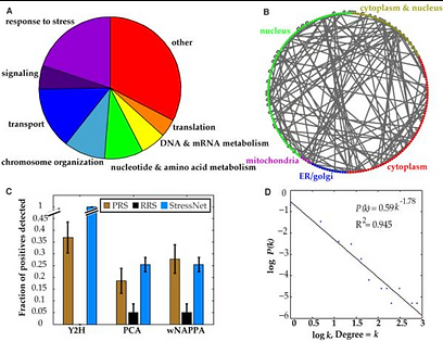 Cross-species protein interactome mapping reveals species-specific wiring of stress response pathways