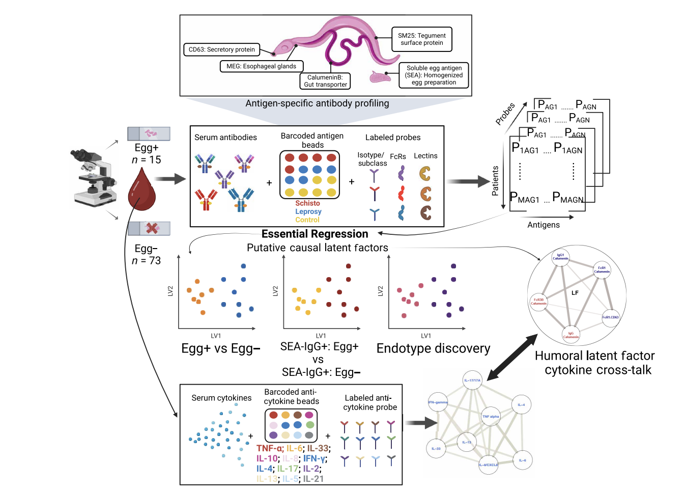 Deep humoral profiling coupled to interpretable machine learning unveils diagnostic markers and pathophysiology of schistosomiasis