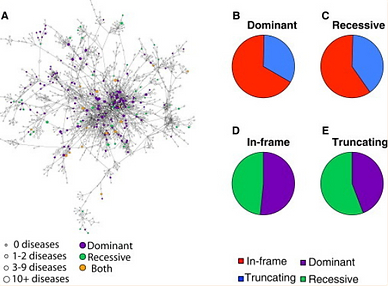 Dissecting disease inheritance modes in a 3D protein network challenges the guilt-by-association principle