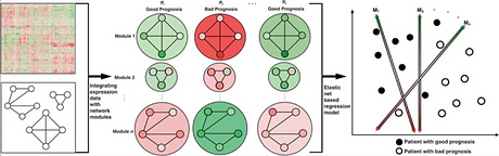 ENCAPP-elastic-net-based prognosis prediction and biomarker discovery for human cancers