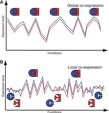 Genome-scale analysis of interaction dynamics reveals organization of biological networks