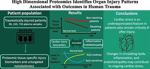 High dimensional proteomics identifies organ injury patterns associated with outcomes in human trauma