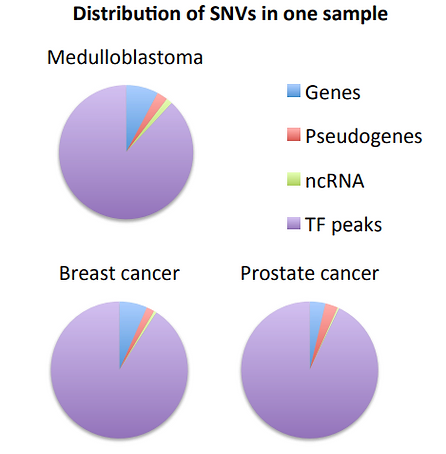 Integrative annotation of variants from 1,092 humans- application to cancer genomics