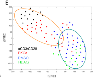 Latency reversal agents modulate HIV antigen processing and presentation to CD8 T cells