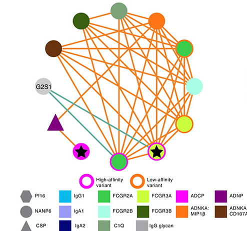 Mapping functional humoral correlates of protection against malaria challenge following RTS, S/AS01 vaccination