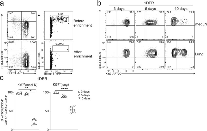 Spatial microniches of IL-2 combine with IL-10 to drive lung migratory TH2 cells in response to inhaled allergen