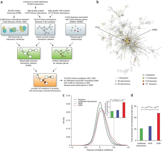 Three-dimensional reconstruction of protein networks provides insight into human genetic disease