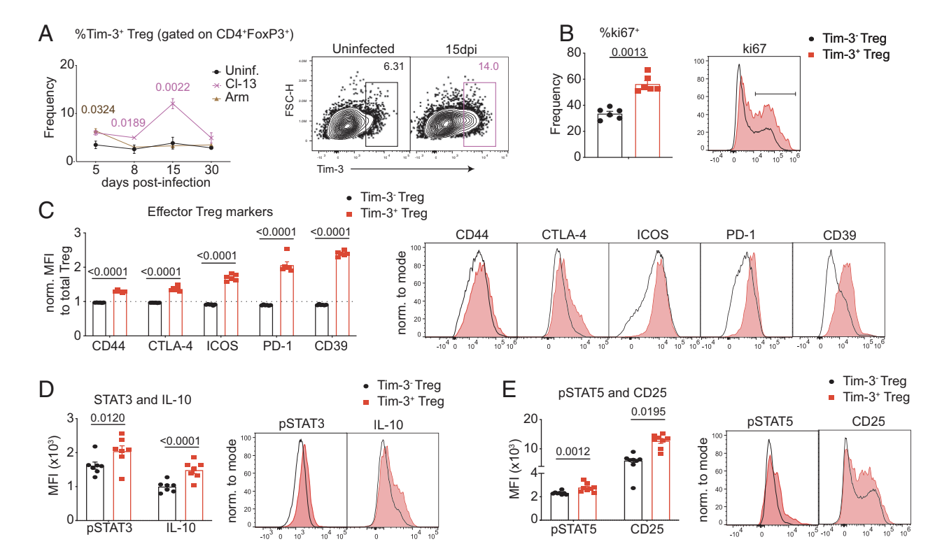 Tim-3 Is Required for Regulatory T Cell–Mediated Promotion of T Cell Exhaustion and Viral Persistence during Chronic Lymphocytic Choriomeningitis Virus Infection