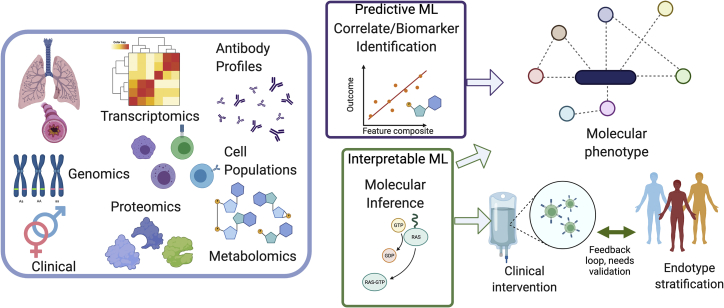 Determining asthma endotypes and outcomes- Complementing existing clinical practice with modern machine learning