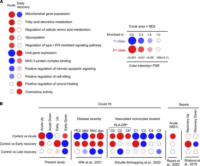 Functional reprogramming of monocytes in acute and convalescent severe COVID-19 patients