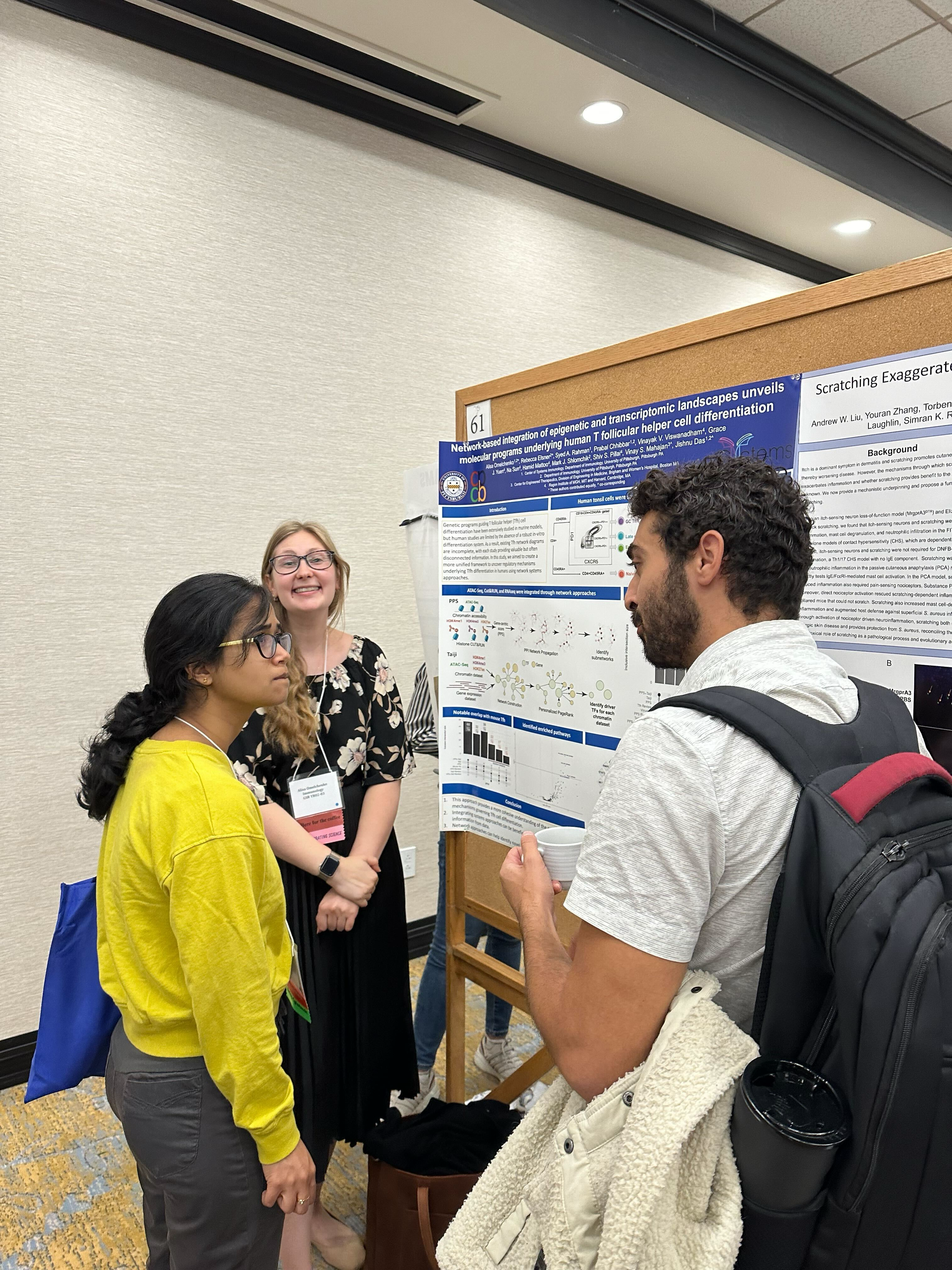 Background of a beautiful view