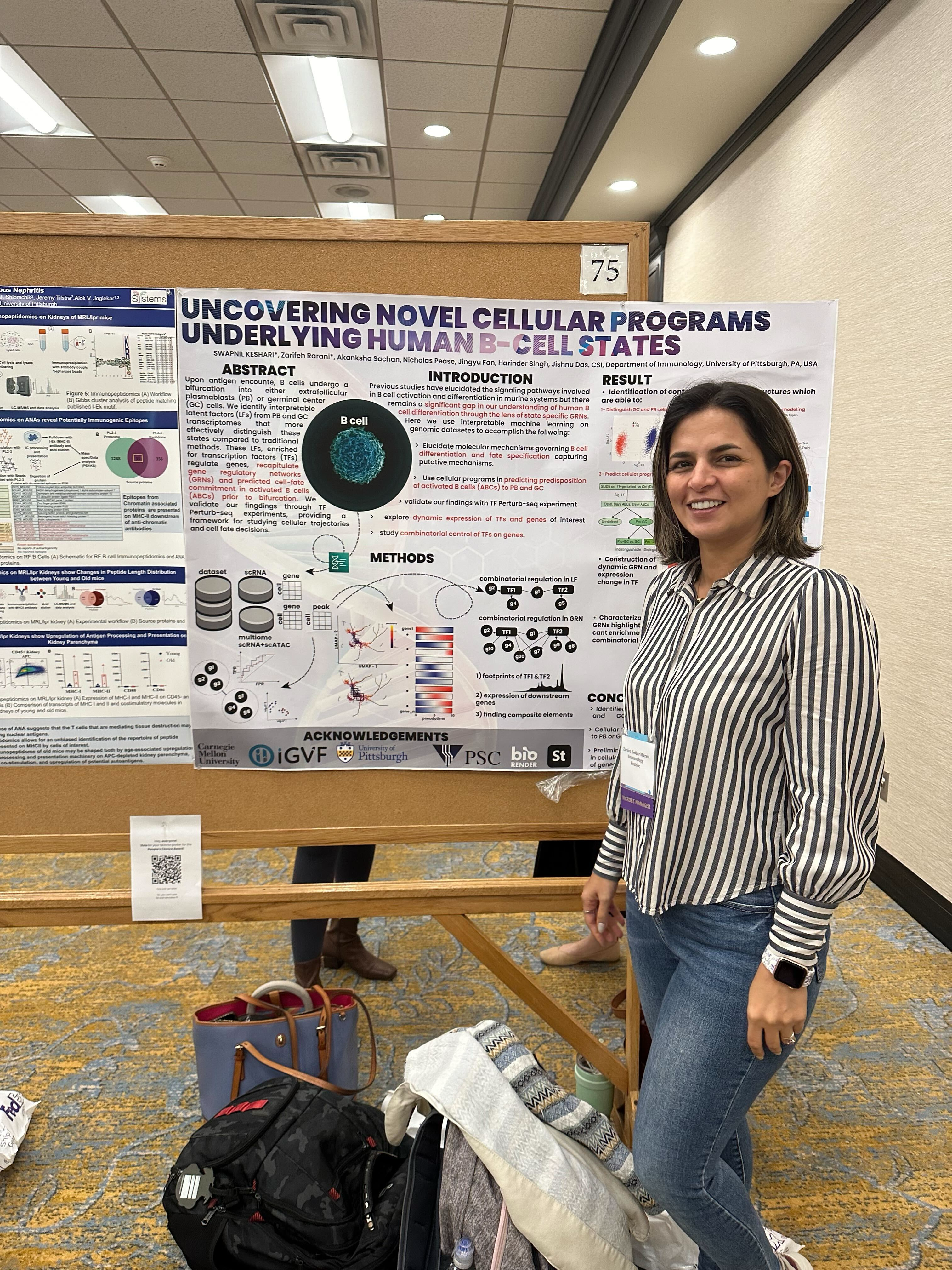 Background of a beautiful view