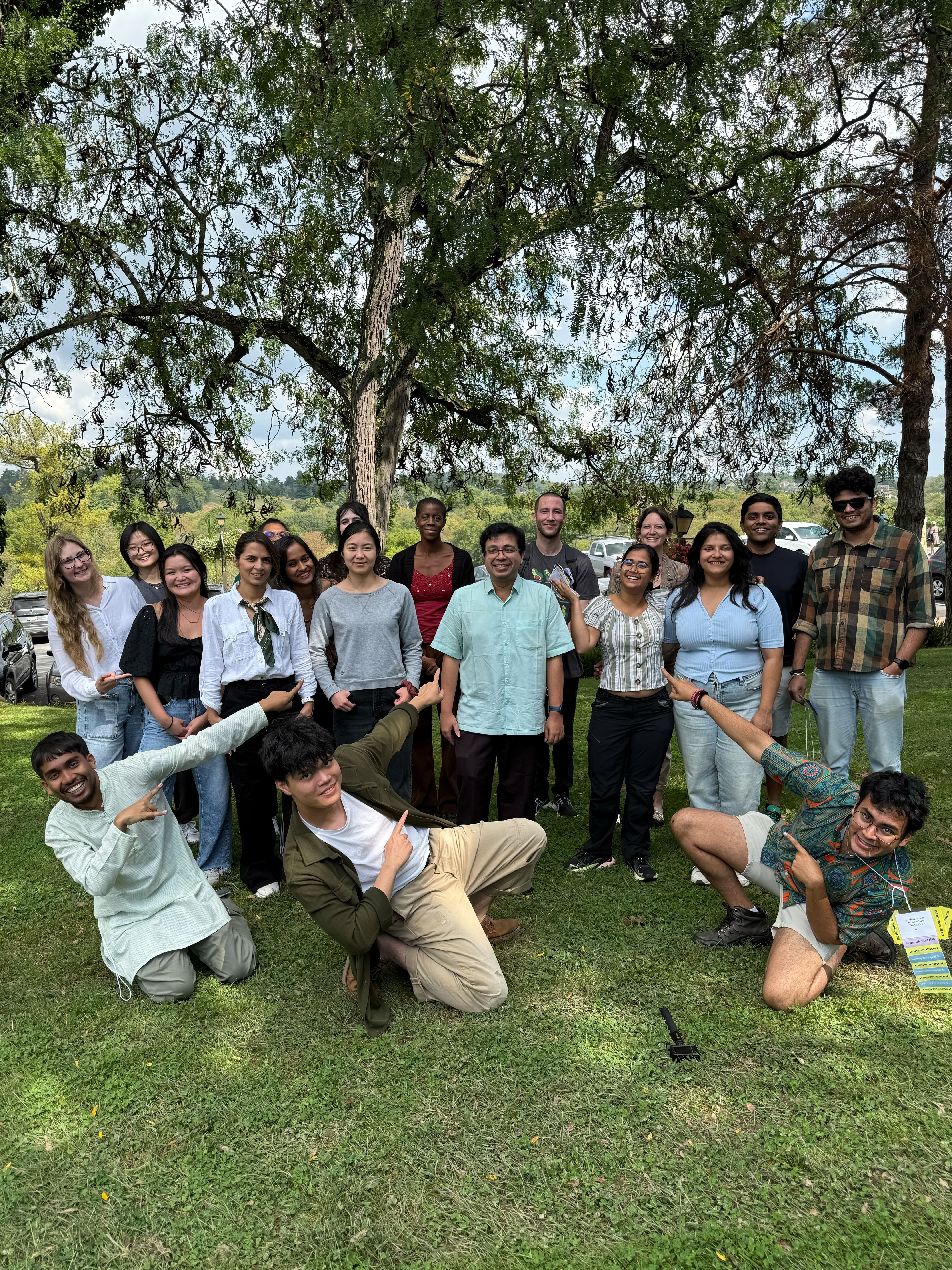 Background of a beautiful view