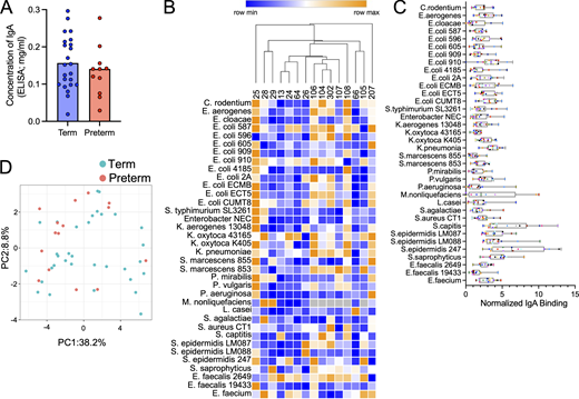 Stability and heterogeneity in the antimicrobiota reactivity of human milk-derived immunoglobulin A