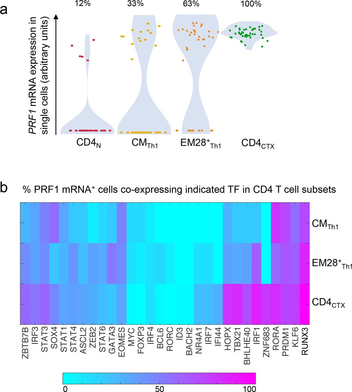 The transcription factors Runx3, T-bet and ThPOK co-regulate acquisition of cytotoxic function by human Th1 lymphocytes